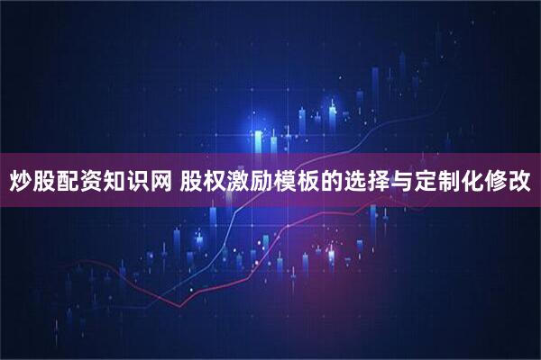 炒股配资知识网 股权激励模板的选择与定制化修改