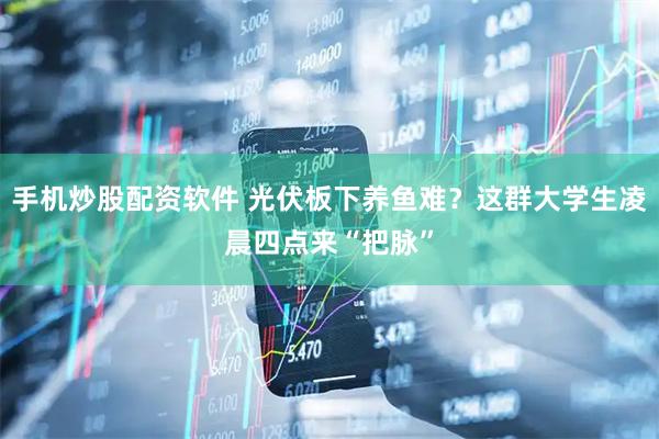 手机炒股配资软件 光伏板下养鱼难？这群大学生凌晨四点来“把脉”